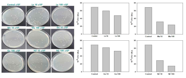 NZVI passivation products에 따른 미생물 사멸 실험 결과