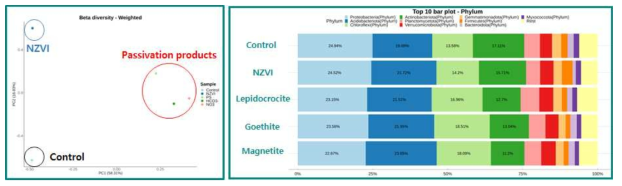 16S rRNA metagenomic sequencing을 통한 토양 내 미생물 군집변화