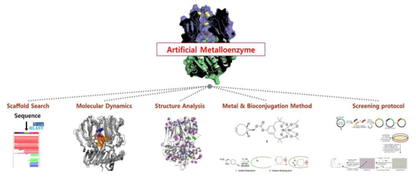 인공금속효소 개발에 필수적 필요 연구 분야