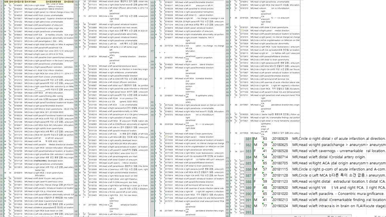 영상 레지스트리 400 례 구축 (뇌동맥류 환자군)
