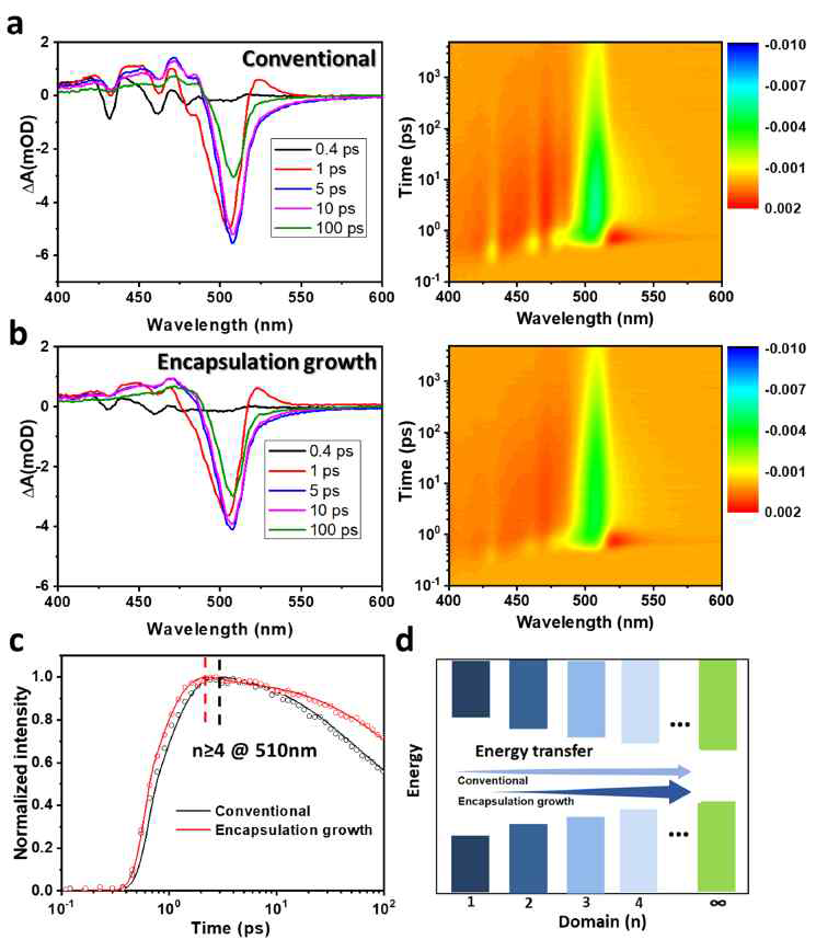 Transient absoprtion spectroscopy (TAS) 분석을 통한 quas-2D 페로브스카이트의 에너지 전이 분석