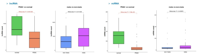 lncRNA and miRNA count