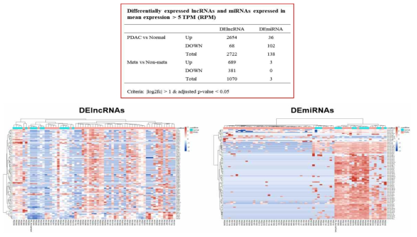 Differentially expressed lncRNA and miRNA detection 및 Clustering analysis