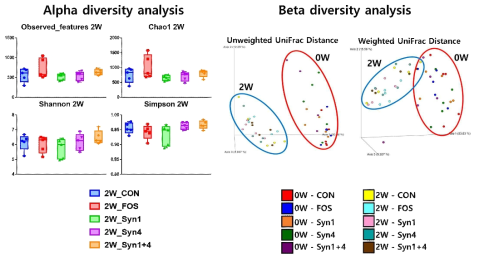 최종 선정 물질 급여에 따른 이유자돈의 장내 미생물 Alpha(좌), Beta(우) diversity 분석 결과 (0W: 개시, 2W: 2주차, Syn1: FOS+K_LL_001, Syn4: FOS+K_LL_004, Syn1+4: FOS+2종 혼합)