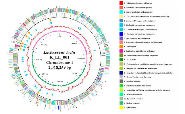 K_LL_001의 Genome map