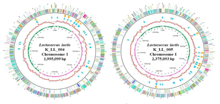 K_LL_004, 005의 Genome map