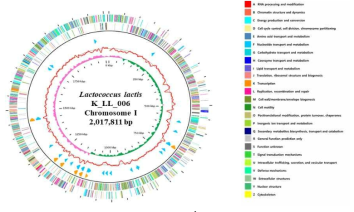 K_LL_006의 Genome map