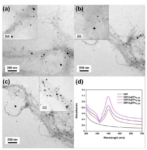 은나노입자로 표면개질된 CNF