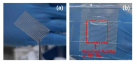 (a)PET 패터닝 전극으로부터 전사되어 전극이 형성된 PDMS 복합체, (b) PDMS와 분리된 PET 전극