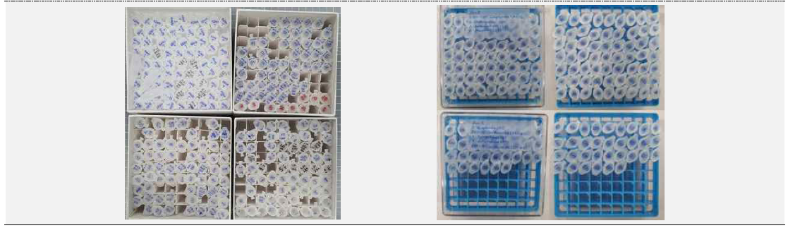 확보된 template DNA sample 일부 사진