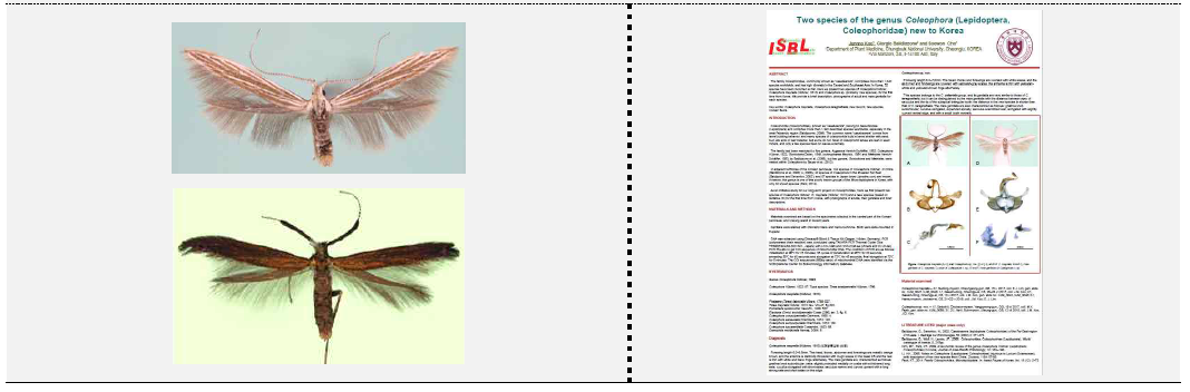 당해연도 확인된 기록종 7종 중 1종(왼쪽 위: C. therinella-갈색통나방), 미기록종 및 신종 7종 중 1종(왼쪽 아래: C. mayrella) 및 10월 한국응용곤충학회 포스터 발표 자료 (오른쪽)