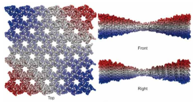 ENM 시뮬레이션을 통한 단백질 구조의 진동 특성 및 구조에 대한 분석