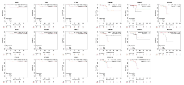 IFN, PCDHB gene familiy 발현에 따른 결장암 환자의 예후 Km Plot