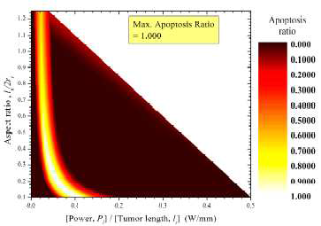 종양과 레이저의 반경비가 1일 때의 apoptosis ratio