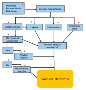 혈관성 치매의 발병과정 및 병리기전