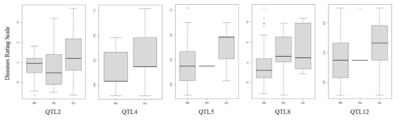 Cmm 저항성과 연관된 주요 QTL의 효과