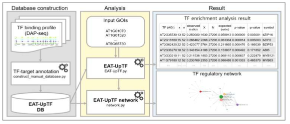 관심 유전자 그룹의 상위 전사인자를 예측해주는 EAT-upTF 웹 인터페이스 개발