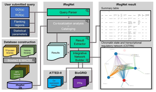 게놈 내 관심 영역에 대한 전사인자 결합 및 히스톤변형, RNA 변형 등 다양한 후성유전학적 정보를 통합적으로 분석할 수 있는 iRegNet 웹툴 개발