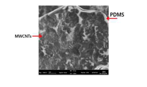 MWCNT-PDMS 압력감응재의 SEM 사진