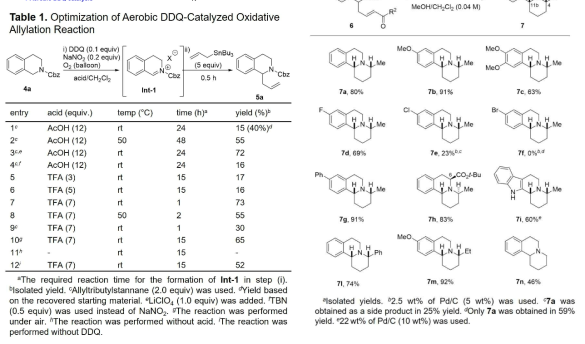 DDQ 촉매 산화적 알릴화 반응을 이용한 아자고리 화합물의 합성