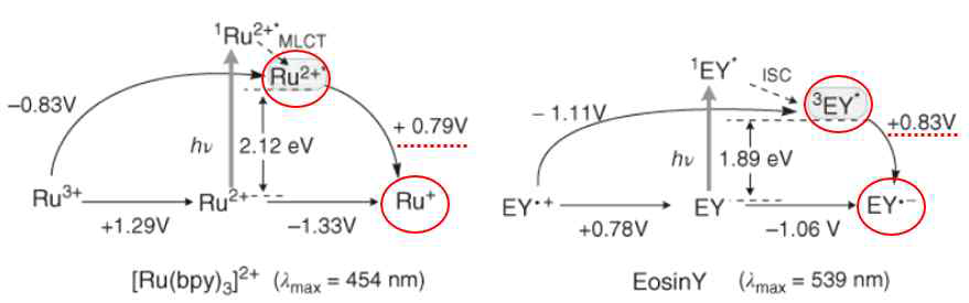Ru(bpy)3 2+와 eosin Y의 광물리적 산화환원 성질의 비교