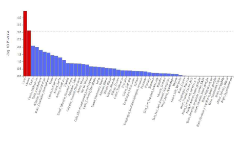 MAGMA Tissue Expression Analysis