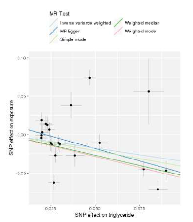 중성지방과 담석증의 MR scatter plot