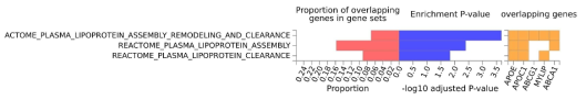 발굴한 변이에 대한 Canonical Pathway 분석 결과