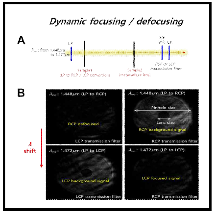 능동 위상제어 기반 beam focusing