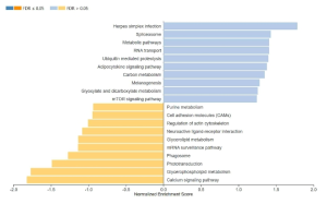 KEGG pathway analysis of flounder 168 genes up-regulated in high virulent rVHSV-P infected cells compared to rVHSV-infected cells