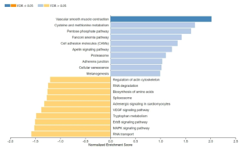 KEGG pathway analysis of flounder 209 genes down-regulated in high virulent rVHSV-P infected cells compared to rVHSV-infected cells