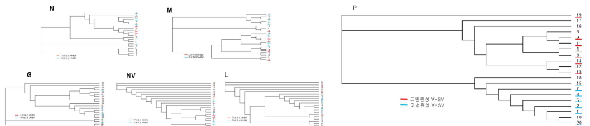 Phylogenetic trees based on amino acid sequences of N, M, G, NV, L, and P of 20 VHSV strains