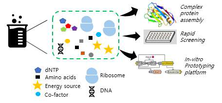 무세포 단백질 합성 시스템(cell-free protein synthesis) 개요