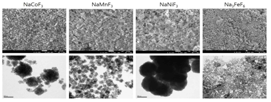 개발된 소듐금속불화물(NaCoF3, NaMnF3, NaNiF3, Na3FeF6)의 SEM 및 TEM 분석 결과
