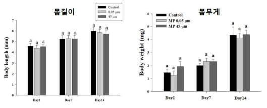 미세플라스틱 노출에 따른 바다 송사리 성장지표 (몸길이, 몸무게)