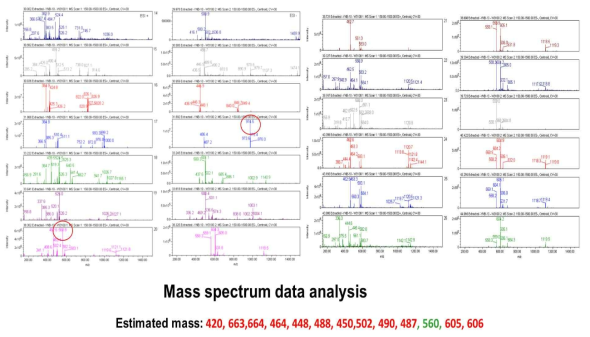 B. velezensis 균주와 B. amyloliquefaciens 균주와의 LC-MS 비교와 확인된 MS peaks