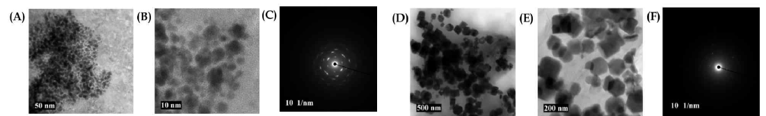 FE-TEM micrograph of PG-AuNPs and PG-ZnONPs. FE-TEM micrograph of PG-AuNPs at a resolution of (A) 50 nm; (B) 10 nm; (C) SAED of PG-AuNPs; FE-TEM micrograph of PG-ZnONPs at a resolution of (D) 500 nm; (E) 200 nm; and (F) SAED of PG-ZnONPs