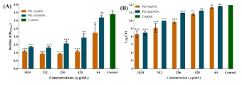 Eradication of Pseudomonas aeruginosa mature biofilm by PG-AuNPs and PG-ZnONPs. (A) OD570 measurements of biofilm cells after staining with crystal violet and (B) CFU values of biofilm cells