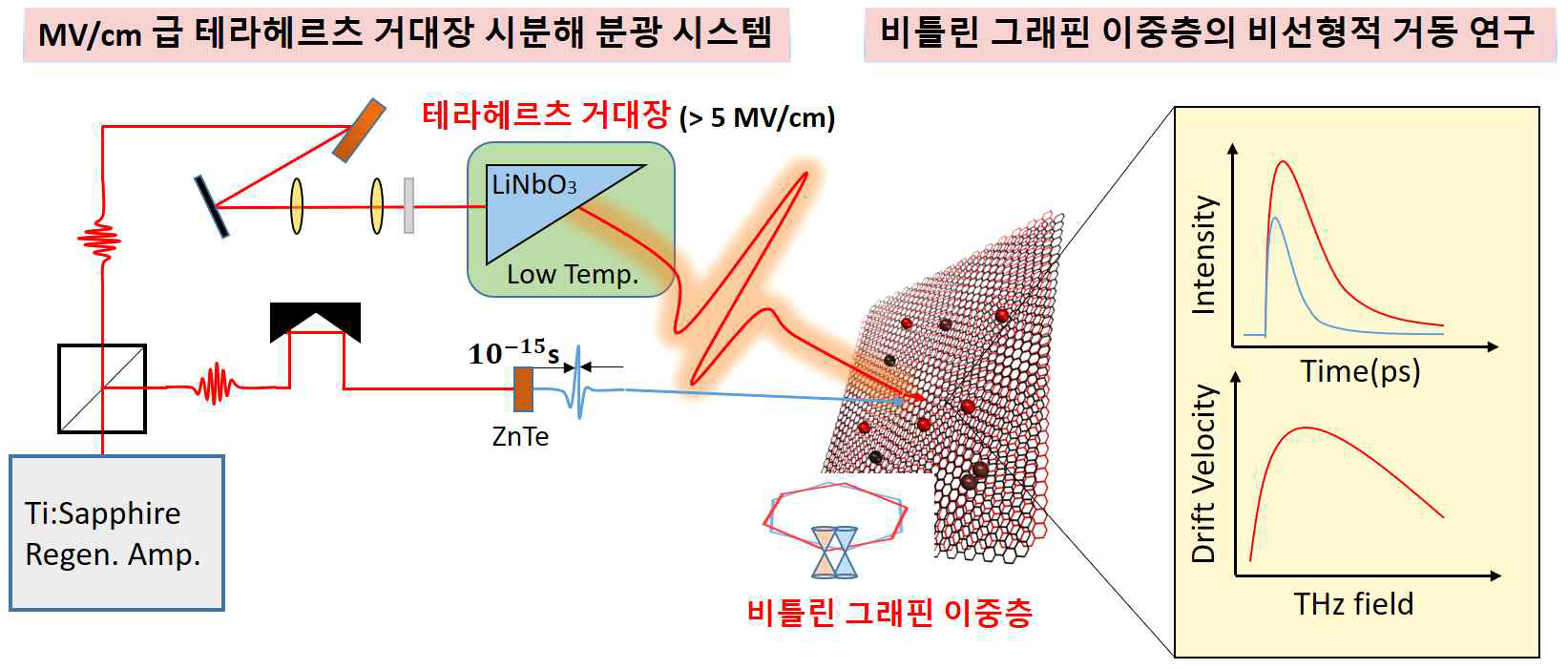 THz 거대장을 이용한 비틀린 그래핀 이중층의 비선형적 거동 연구 개념도