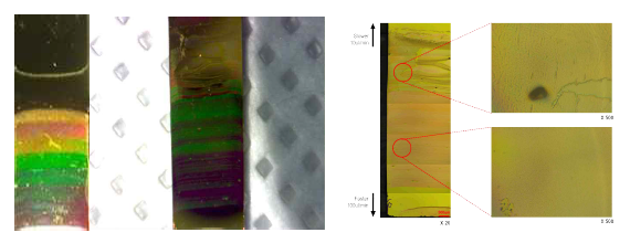 동역학적 변수에 따른 Bacteriophage 박막의 색상 차이와 Optical Microscope로 확인한 정렬 형태