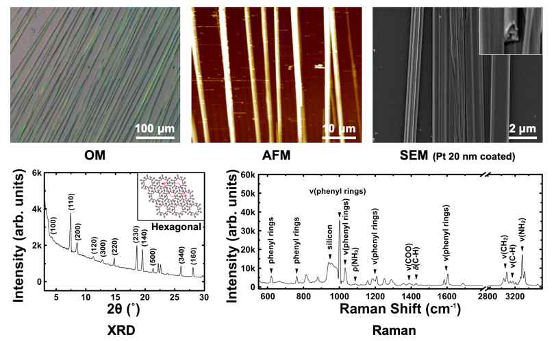 Dipheynylalanine 나노튜브의 OM, AFM, SEM 이미지 및 XRD, Raman을 이용한 구조 및 성분 분석