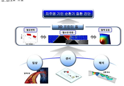 3D 프린터 칩을 이용한 치주염에 의한 순환기 질환 진단