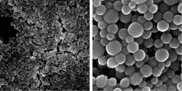SEM image of functionalized silica nanoparticles