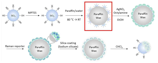 파라핀 왁스를 이용한 비대칭 나노입자 합성 개략도
