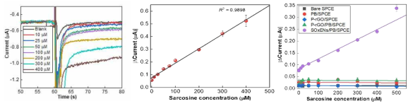 (좌) 50mM PBS(pH 8.0)에서 –0.1V vs Ag/AgCl 전위에서 SOxEN/PB/SPCE의 전류 측정 반응. (중) (좌)에서 얻은 검정곡선. (우) 서로 다른 농도의 Sarcosine (0, 25, 50, 75, 100, 200, 300, 400, 500μM)의 검정곡선