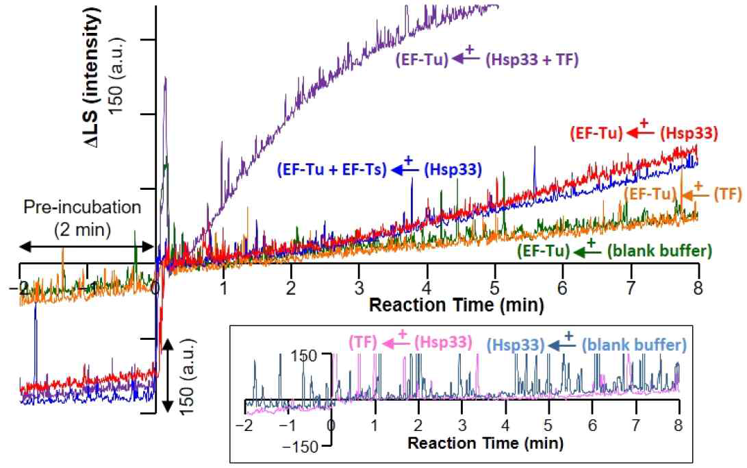 환원형 Hsp33, EF-Tu, EF-Ts, TF 분자상호작용의 구조적 영향성 분석을 위한 LS 실험 결과