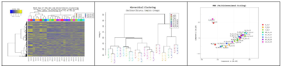 장관 조직 transcriptome 분석. Heat map, Hierarchical culstering, PcoA plots