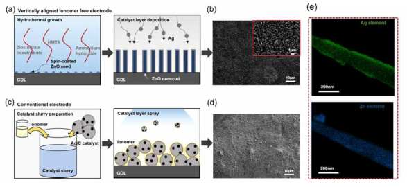이오노머가 없는 수직정렬 된 Ag-coated 1-D 전극 및 상용 Ag/C 전극으로 제작된 전극확산층(GDE) 이미지 및 1-D 전극의 TEM-EDS 이미지