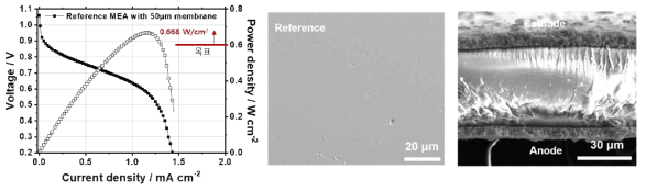 레퍼런스 MEA의 I-V 성능 그래프 (온도 60℃, Anode 가습: 80%, Cathode 가습: 90%, MEA 면적 5 cm2) 및 상용 전해질막의 표면 및 제작된 MEA의 단면이미지