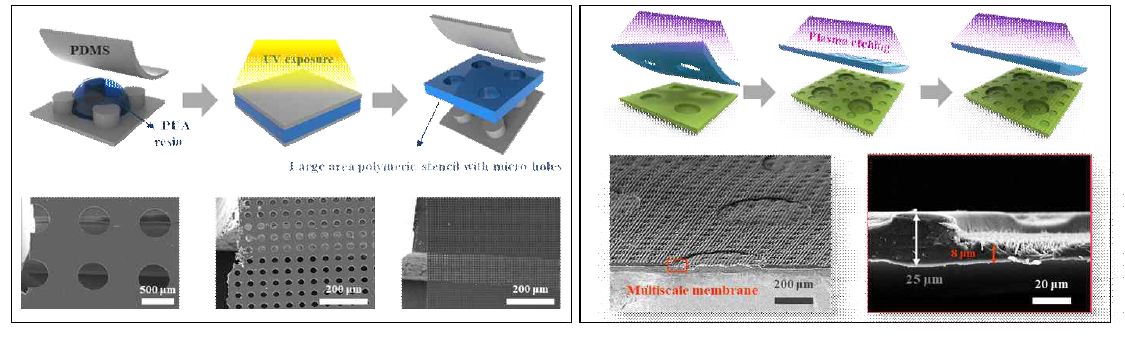 고분자 스텐실 제작공정 (좌), 고분자 스텐실 및 플라즈마 공정을 통한 다층 전해질막 (우)